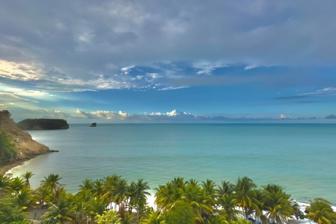 Panorámica tropical con palmeras hacia el mar